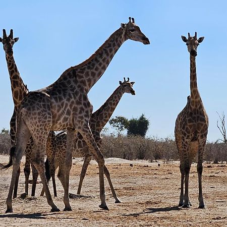 Xhabe Safari Lodge Chobe Muchenje ภายนอก รูปภาพ