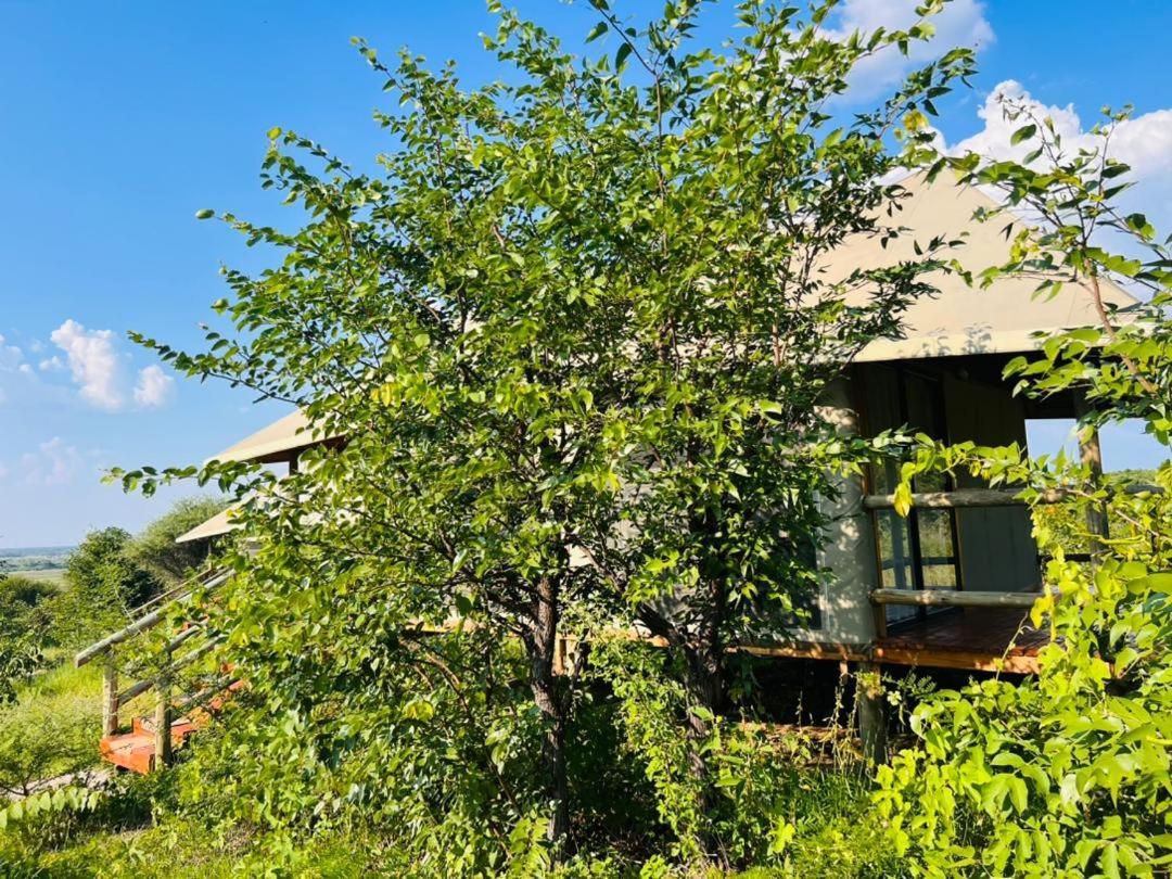 Xhabe Safari Lodge Chobe Muchenje ภายนอก รูปภาพ