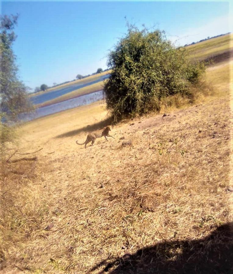 Xhabe Safari Lodge Chobe Muchenje ภายนอก รูปภาพ