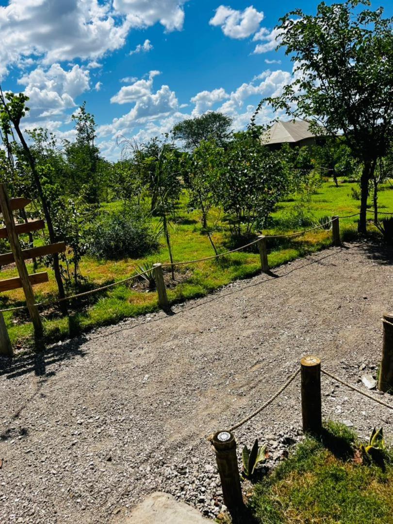 Xhabe Safari Lodge Chobe Muchenje ภายนอก รูปภาพ