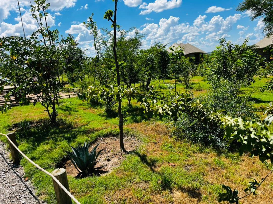 Xhabe Safari Lodge Chobe Muchenje ภายนอก รูปภาพ